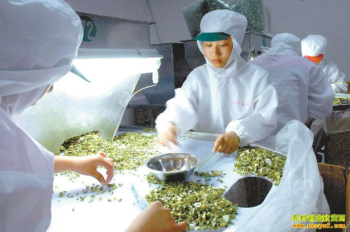 �߲���ˮ�ӹ������ܷ��߱�