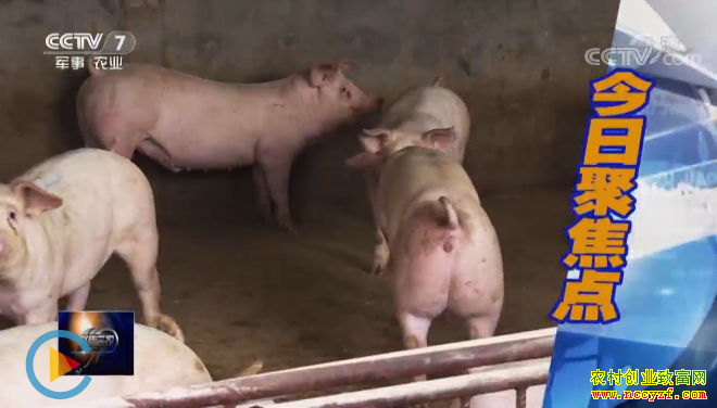 [�۽���ũ]2019�������۸�δ��������Σ�