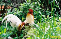 �Ĵ���������޸�����ֳ�ؼ��̾��¸�·