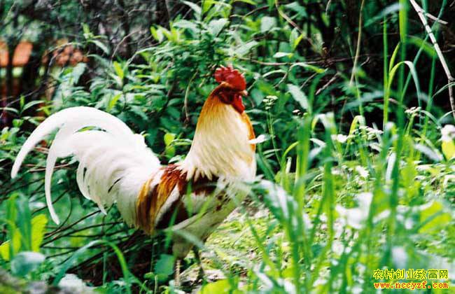 �Ĵ���������޸�����ֳ�ؼ��̾��¸�·