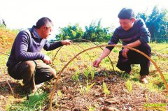 �Ĵ��������ȲŶ����ְ�ܸ Ͷ����ջ��