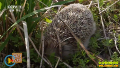 [ÿ��ũ��]��ֳ���׬Ǯ�𣿴�⬡����ɶ���׬Ǯ�е�