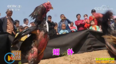 [ÿ��ũ��]ɽ����ɽ����ֳ����ܵļ���Ǯ׬