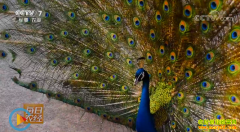 [ÿ��ũ��]Խ��Խ׬Ǯ������ȸ��ֳЧ���