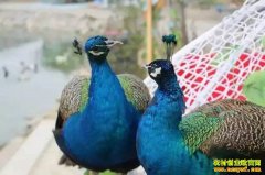 ����ȸ׬Ǯ���Ĵ���Ϫ�Ƽѽ���ɽ����ȸ�����¸���