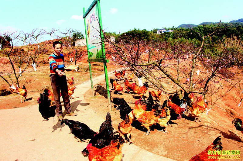 �Ĵ�������������԰����һ�ٶ��