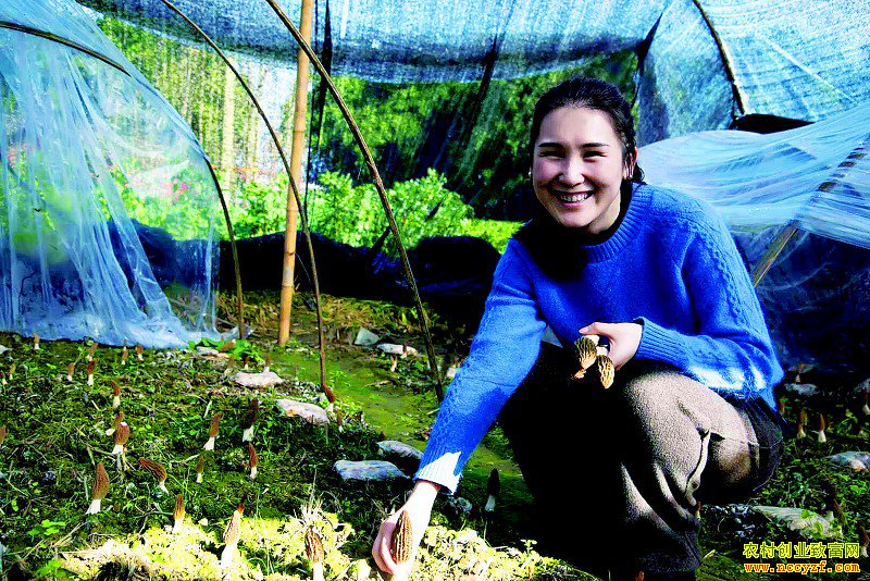 �Ĵ��������շ���ת����΢�� ������Ǿ�����¼