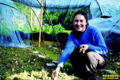 �Ĵ��������շ���ת����΢�� ������Ǿ�����¼