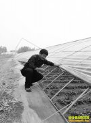 ɽ�������ظ߹󻪴�����ֲ�紺����Ķ����1.5��Ԫ