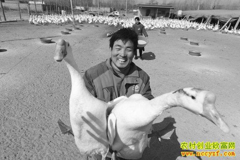 ����׬Ǯ��ɽ���������Ϸ�����ֳ�ֵ��������¸�·