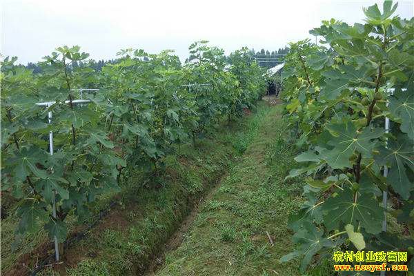 �㽭�����س¹�����ֲ30Ķ�޻���������ҵ��