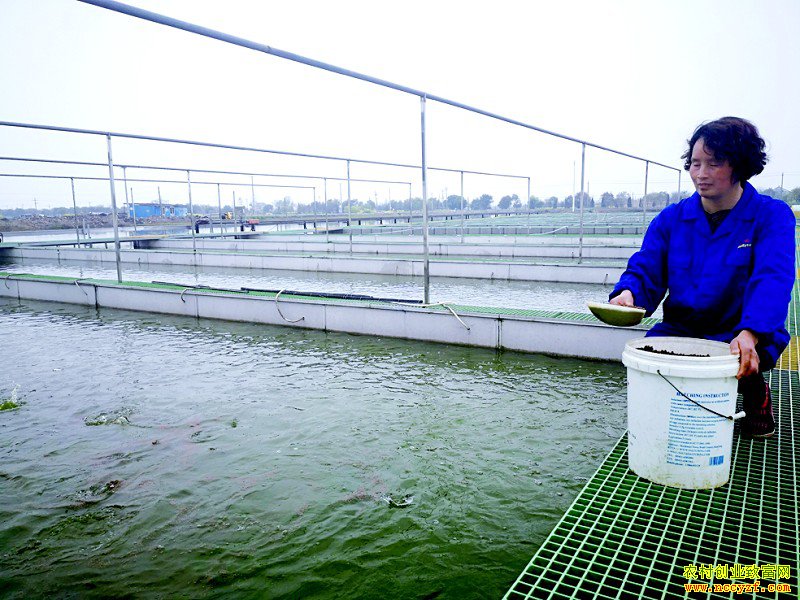 �㽭������������ʢ�غ��ܵ������¸���