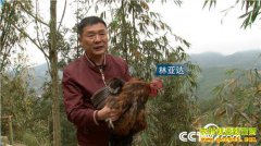 [�¸���]�������������Ǵ���ɽ��ֳ�ڹǼ���������ǧ��Ƹ�