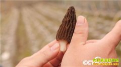 [�¸���]�Ĵ�������ͩ���紴ҵ��ֲ��Ǿ� һ������Ӯ��ǧ��Ƹ�