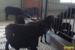 �㽭��ɽ�ڹ������衱�µ��ҵ������¸���