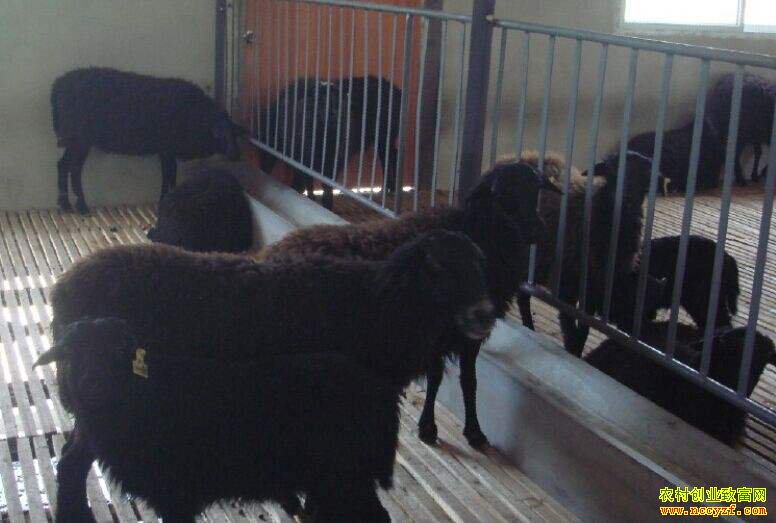 �㽭��ɽ�ڹ������衱�µ��ҵ������¸���