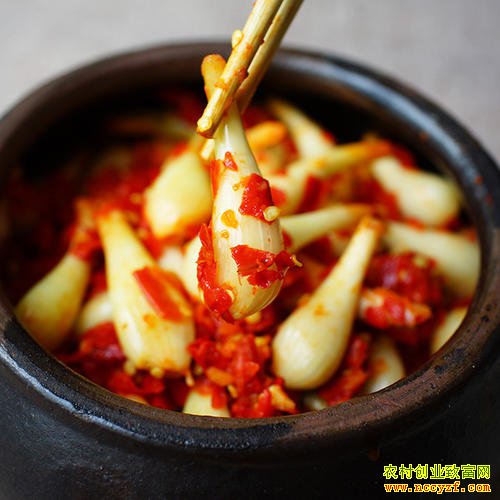 �Ĵ����������������ݲ�Ҳ��Ǯ