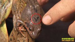 [�¸���]�ܶ���ء��� ɽ�����ݹ����������ܡ����ԡ���׬Ǯ