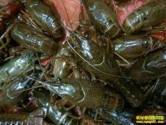 2019��5��13��ɽ��΢ɽ�����С��Ϻ�۸�����