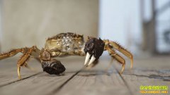 [�¸���]�㽭����¬孷���ֳ�з��׬Ǯ