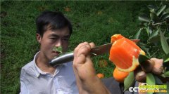 [�¸���]�����Ͷ��ޱ�С����ȷ�����Ƚ�������