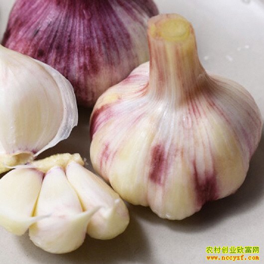 ����������� ���������۲��ֹ� �������۸�Ԥ��