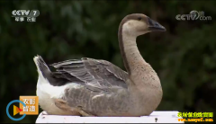 [ÿ��ũ��]�����˹����������� ׬Ǯ�е�