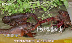 [�¸���]����������������ֳС��Ϻ�����з����¸�