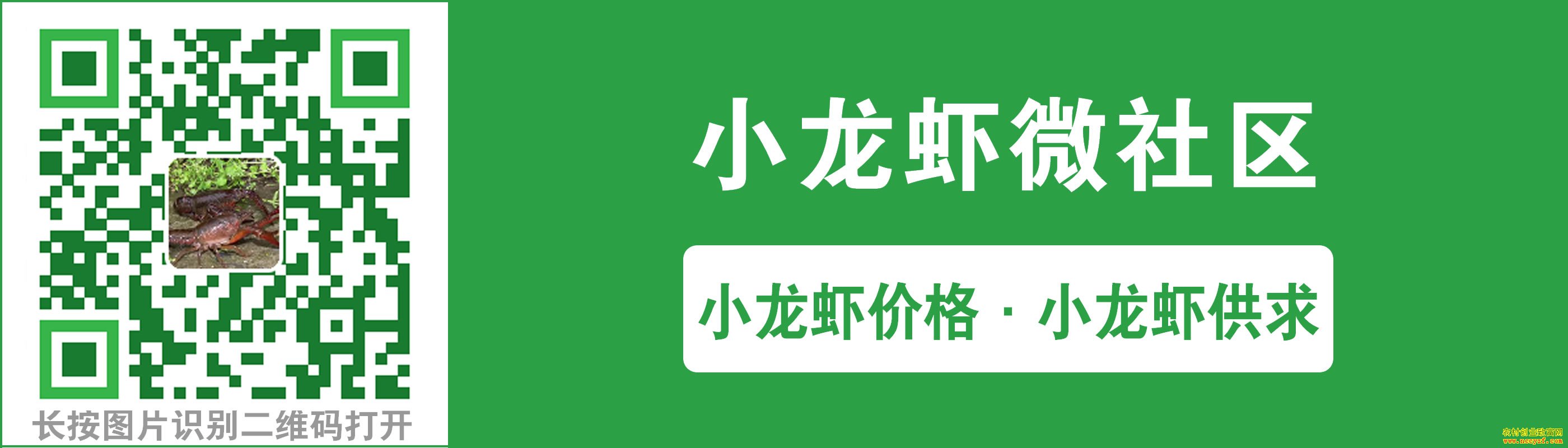 С��Ϻ΢����