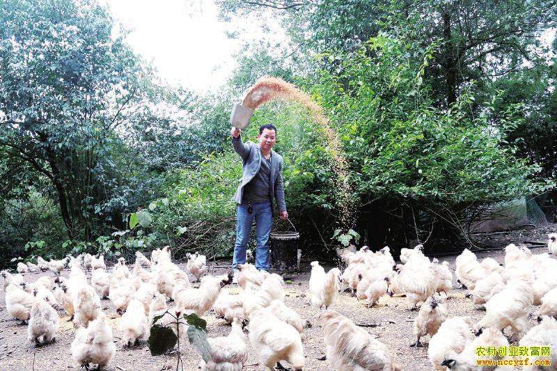 �Ĵ��������ʷ��紴ҵ��ֳ�ڼ�������30��