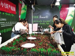 ������������С��Ϻ�г� ��С��Ϻ�����׬Ǯ��