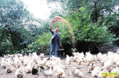 �Ĵ��������ʷ��紴ҵ��ֳ�ڼ�������30��