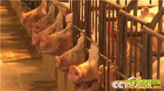 [�¸���]���ꡰ�ġ�һ�� ���ϱ�ɽ�Թ�����̬������ɽ���ɽ