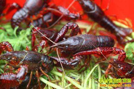 2019�����С��Ϻ�г��۸�����