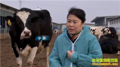 [�¸���]��򻼰�Ů���ھ�����ţ����ţ�Ƹ�