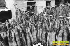 ɽ������������ʤ�����������¸�·