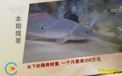 [�¸���]�㶫�������ٲ���ֳϡ����һ������300��Ԫ