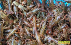 2019��5��27�հ��պϷ��ܹȶ�ˮ���г�С��Ϻ�۸�����