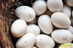 2019��5��28��ȫ���쵰�г��۸�����