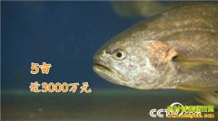 [�¸���]�㽭���䵺�¼�ͦͶ������Ϊ�ô������һ��