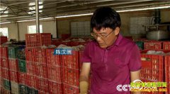 [�¸���]�������ݳº�����ֳ��Ѽ�Ӽӹ���Ѽ����׬Ǯ�ؾ�