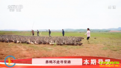 [�Ƽ�Է]����۶���س�������ֳ����ѼЧ���