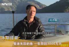 [�¸���]�㶫��ɽ�ν������׽�������׬Ǯ���ŵ�