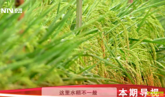 [�Ƽ�Է]���׾��͵� ���������� ���½絾��������Ч���