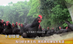 [�¸���]������Դ����˶ʿ����������� �ڼ��Ƽ�׬Ǯ���е�