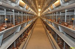 ɽ�����ų�������Ｆ��������������