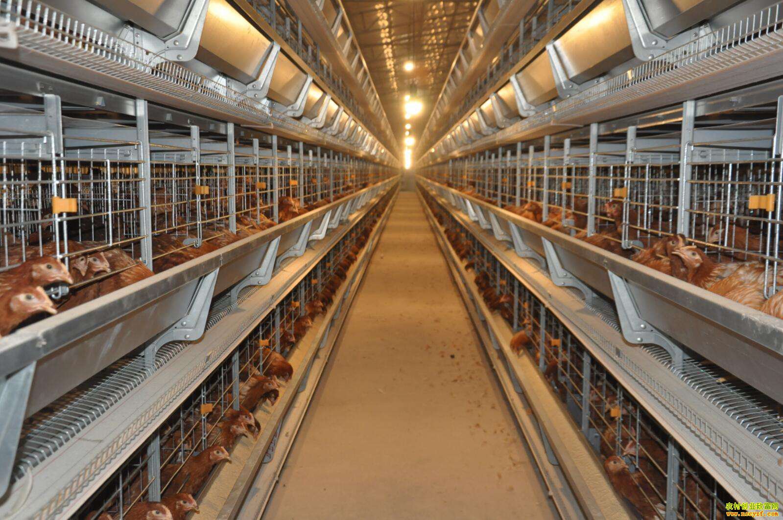 ɽ�����ų�������Ｆ��������������