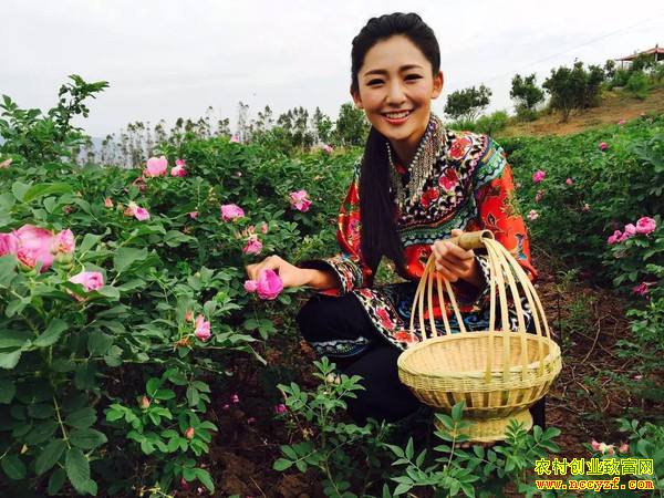 ɽ��ƽ����˶ʿũ���Ժ���õ��������ֲ�����