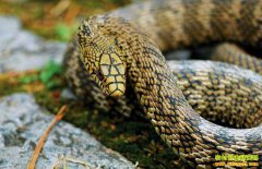 �Ĵ��������⽭ɽ����򸾷��紴ҵ����������30����