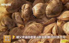 [�¸���]�����ױƻ��ϼ� �������۳�Ϊ����ֳ����׬2000����Ԫ